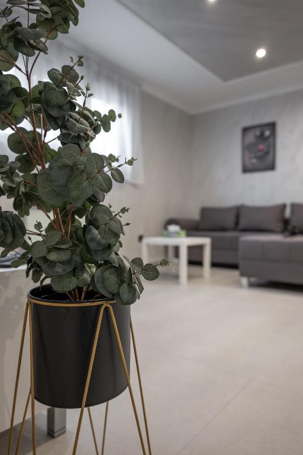 Joy Apartments Zemun,Beograd Exterior foto